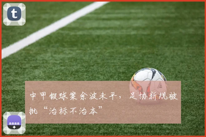 中甲假球案余波未平，足协新规被批“治标不治本”